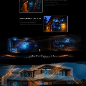 Pure-platinum-tech-website-design-portfolio